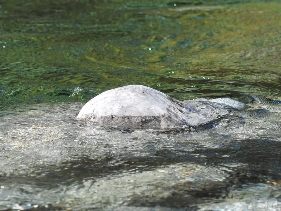 Wasserurne aus weissem Porzellan, Unikat