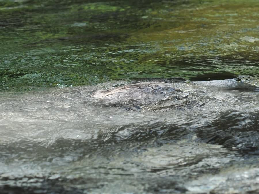 Wasserurne aus weissem Porzellan, Unikat